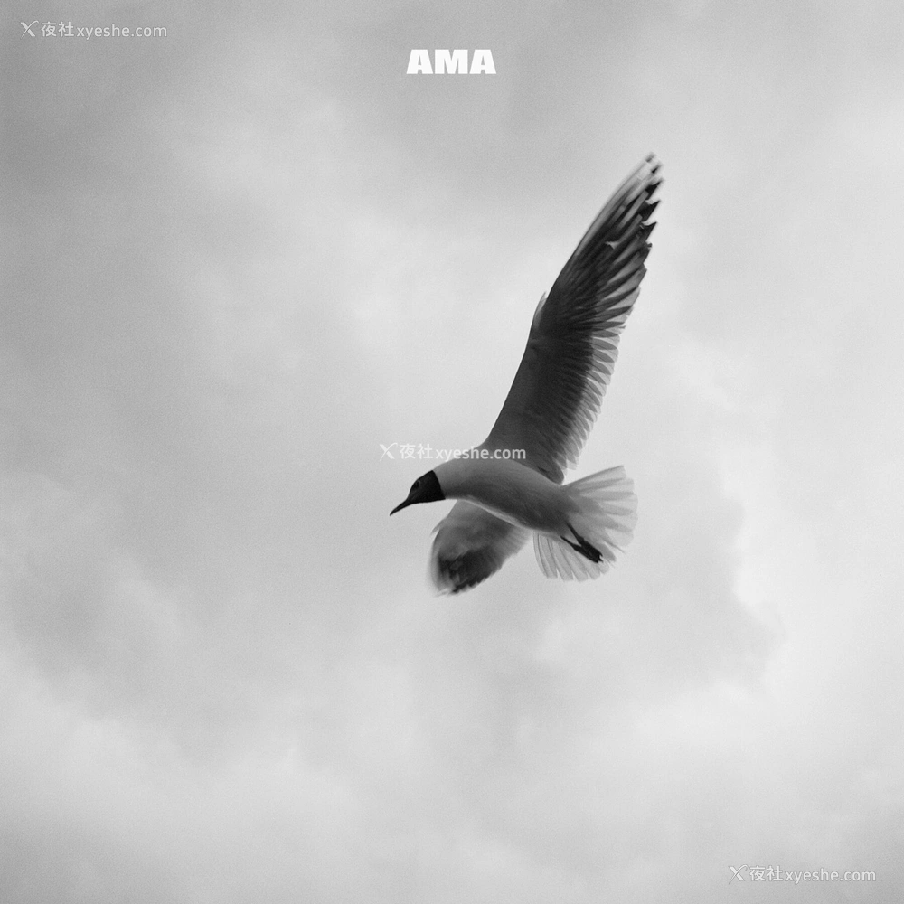 1P - 摄影师 AMA 大尺度人体私拍合集
