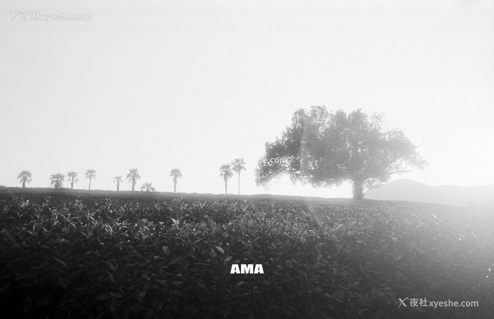 1P - 摄影师 AMA 大尺度人体私拍合集