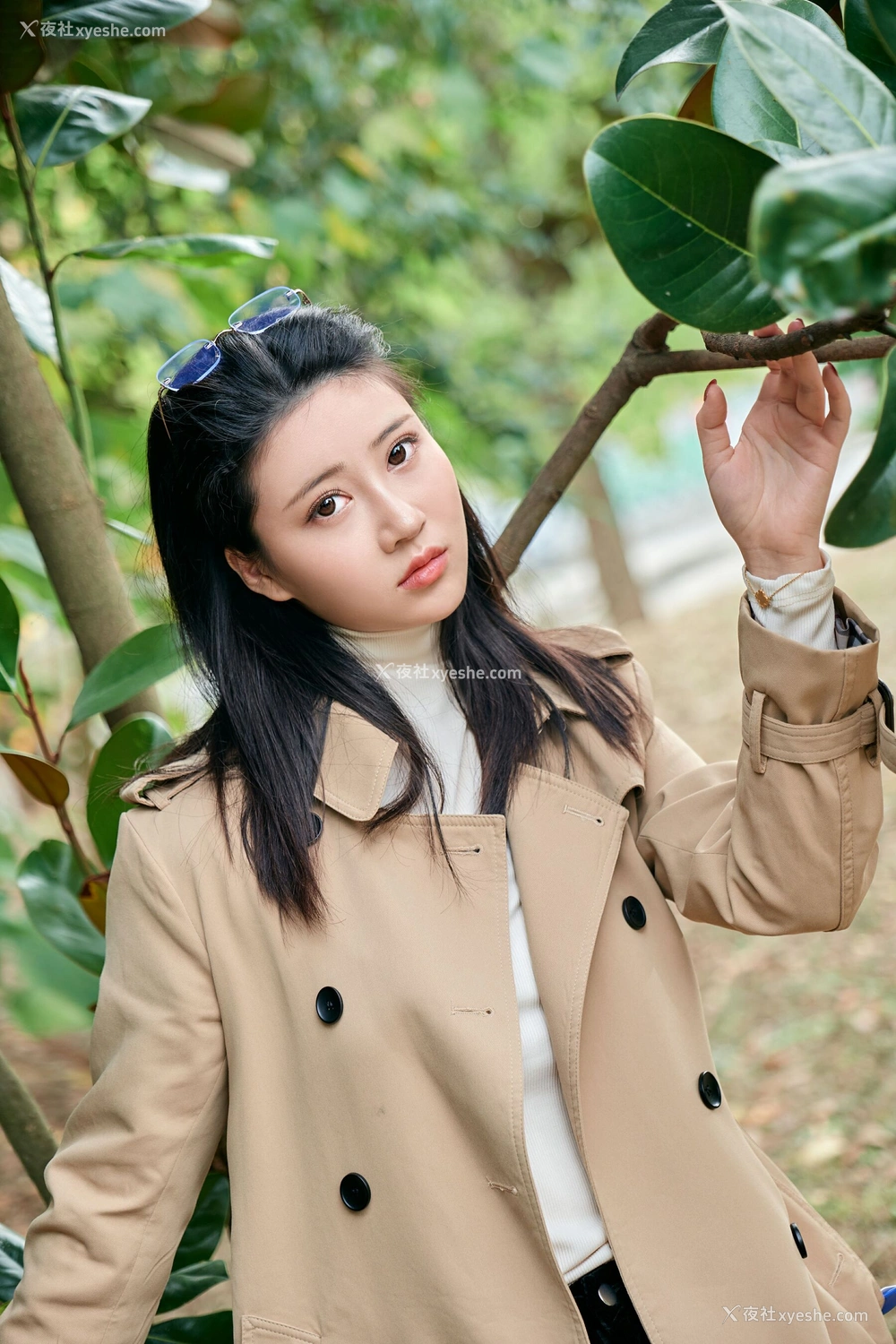 1P - 年年《枫洄》