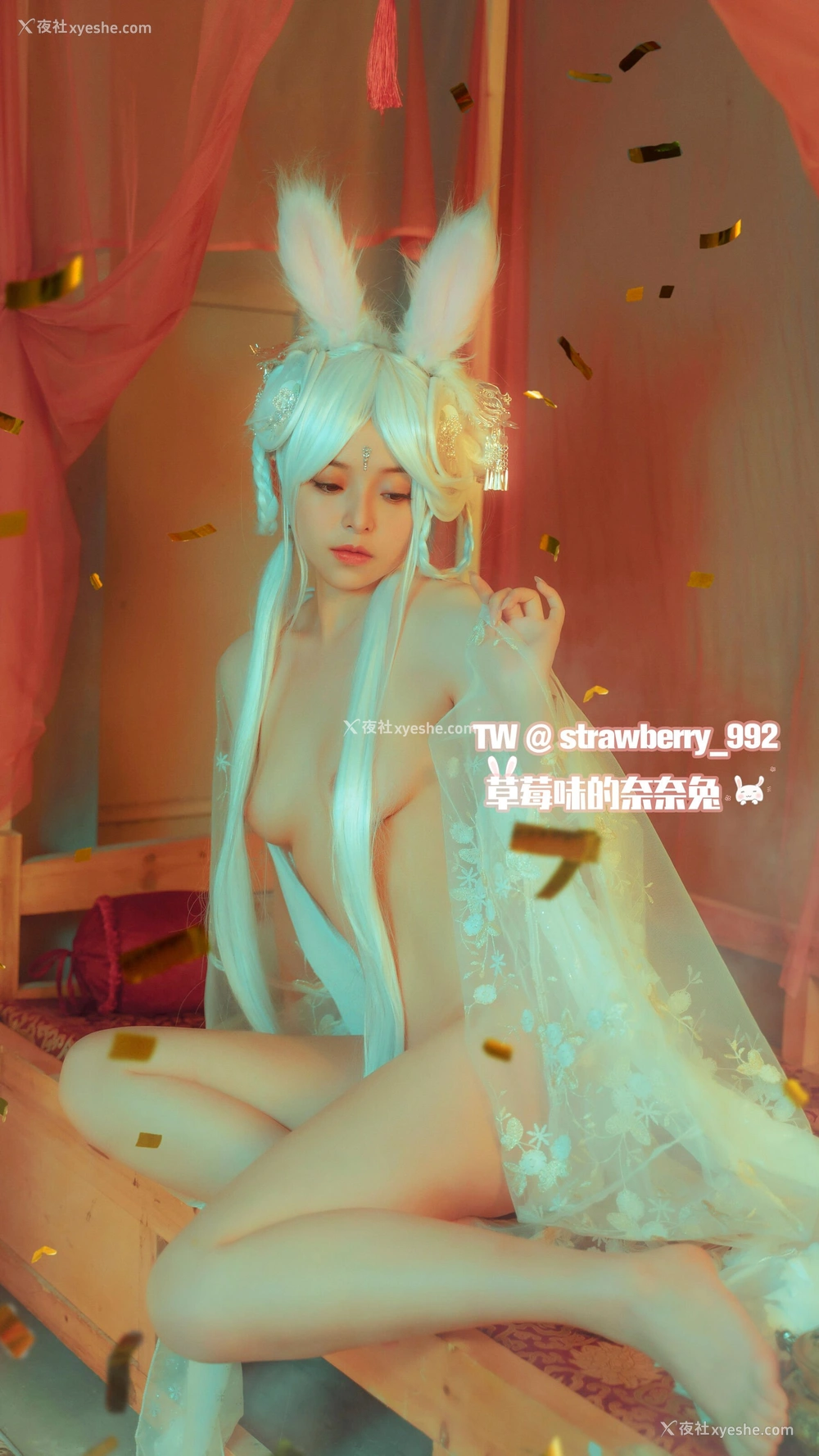 1P - 草莓味的奈奈兔《幻之典雅兔》