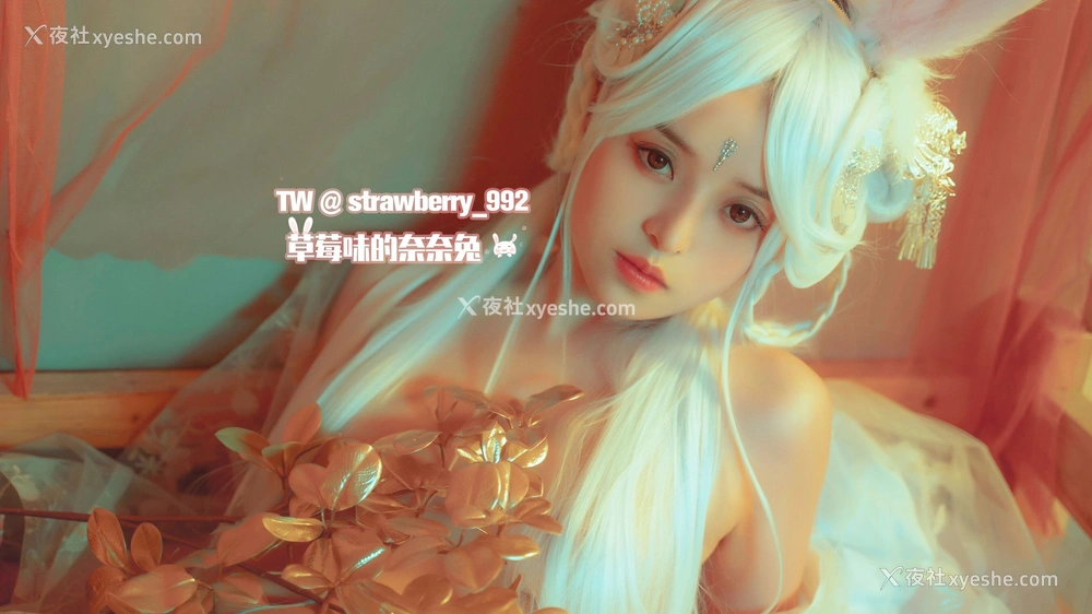 1P - 草莓味的奈奈兔《幻之典雅兔》