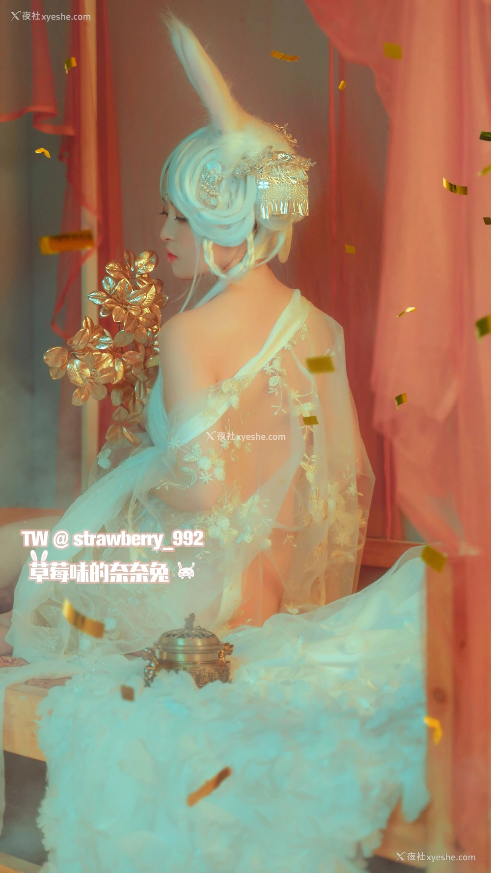 1P - 草莓味的奈奈兔《幻之典雅兔》