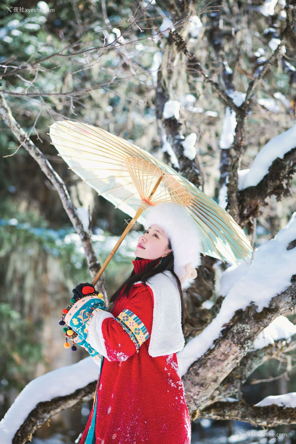 1P - 年年《吉祥雪兆丰年》