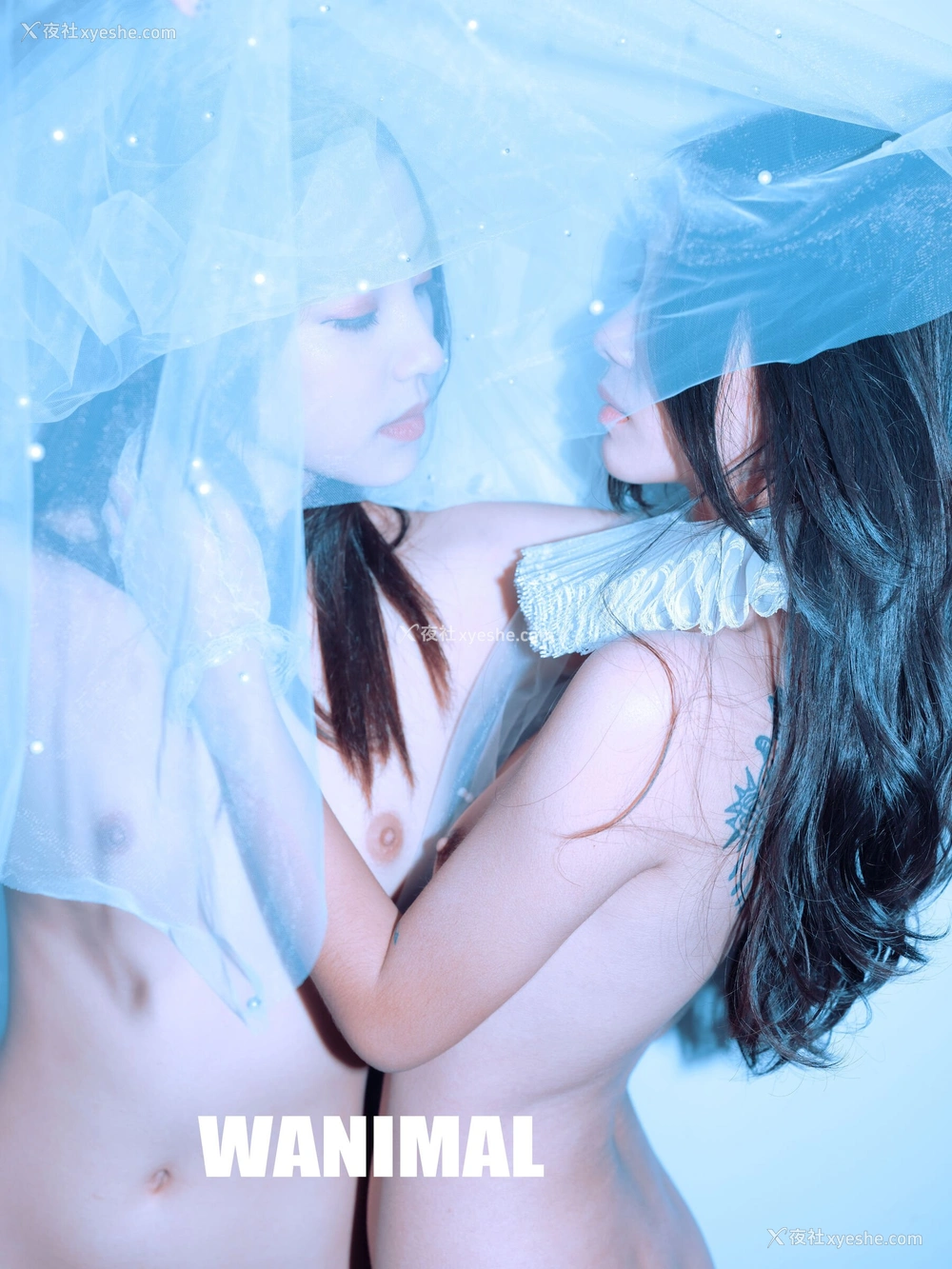 1P - 婕哥《姐妹花》