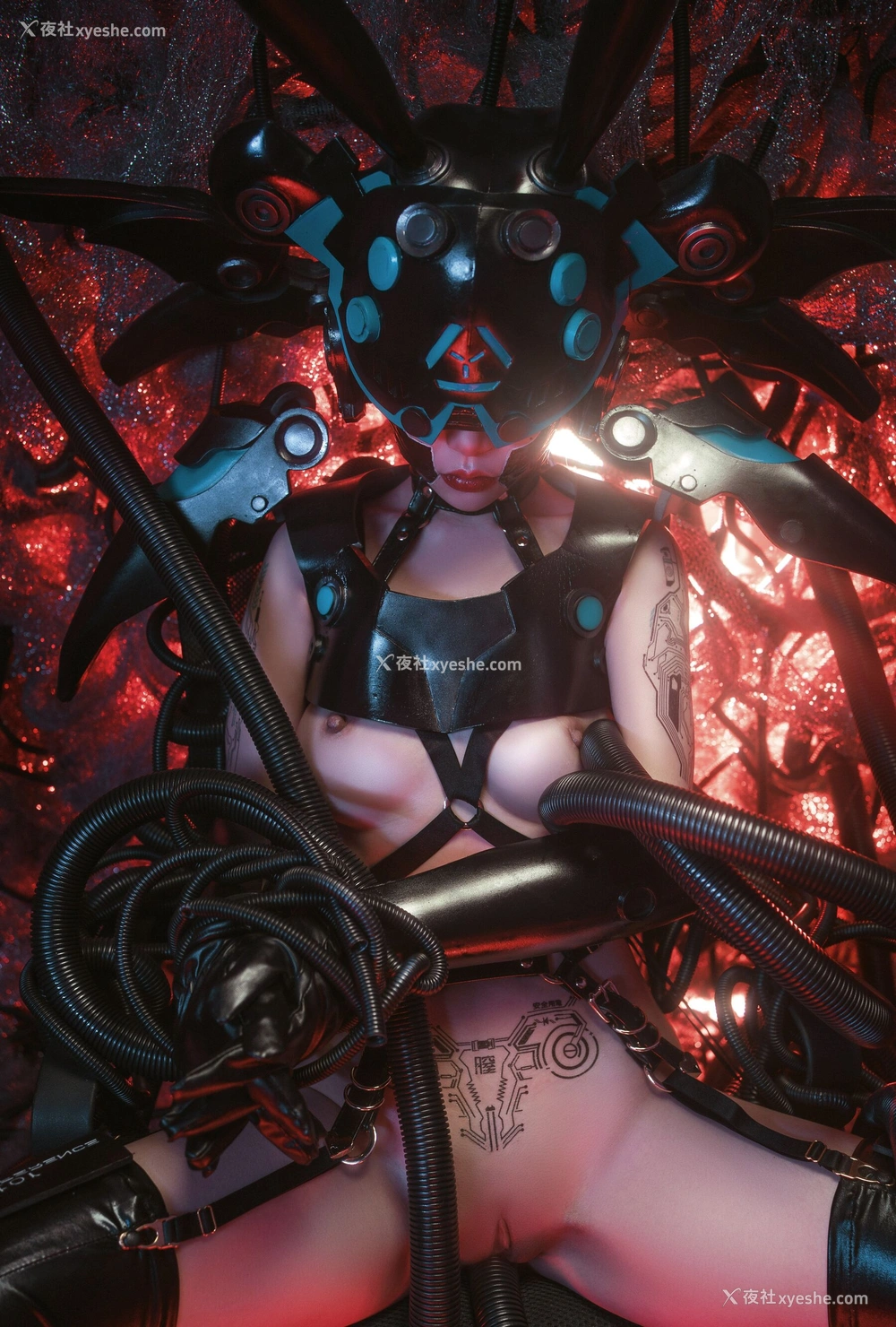1P - 喵小吉《Tori Zero》