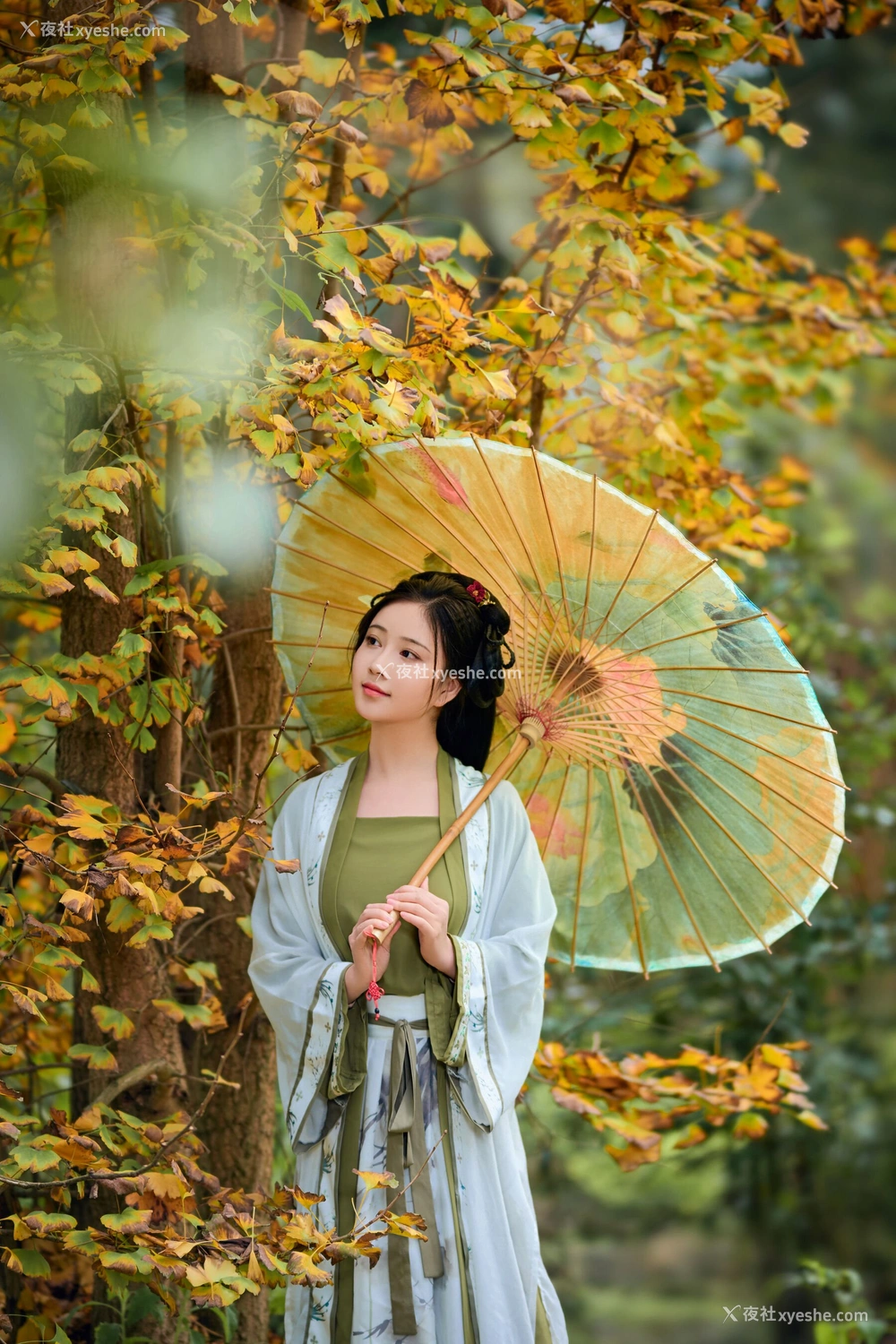 1P - 年年《秋兮》