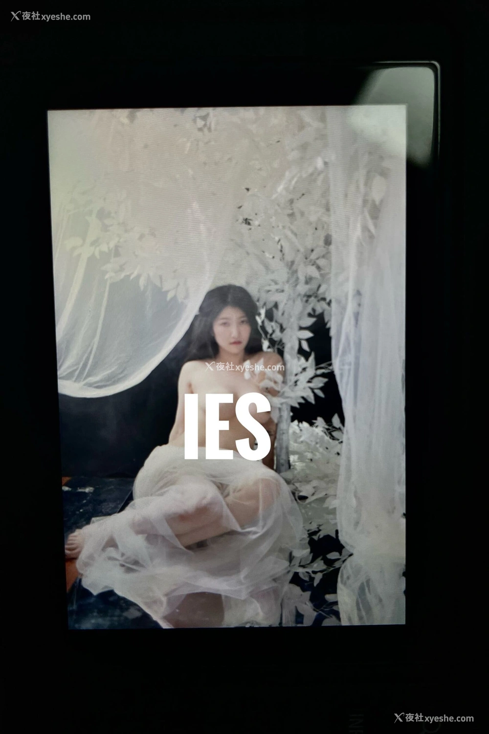 1P - 摄影师 IES 作品集