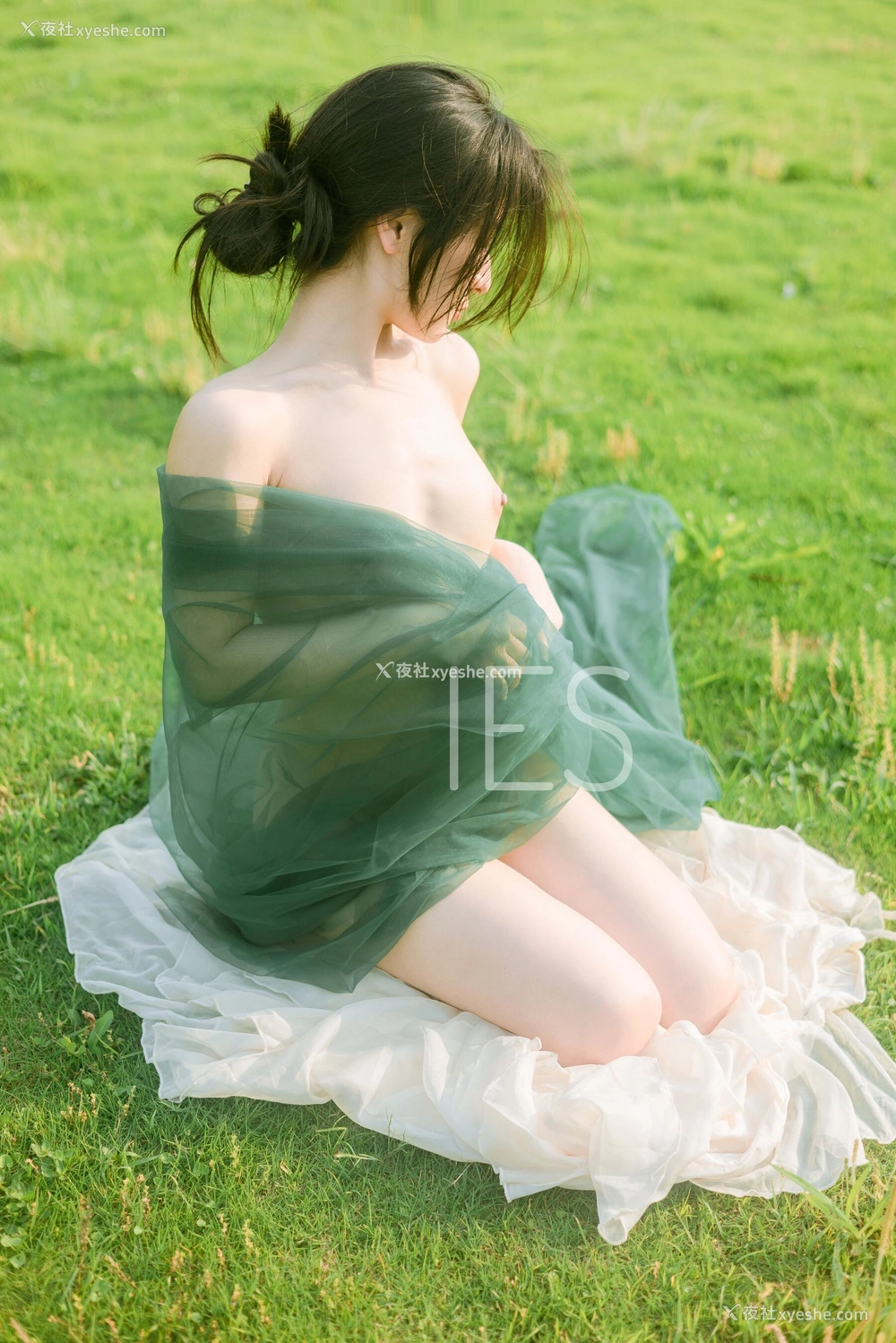 1P - 摄影师 IES 作品集