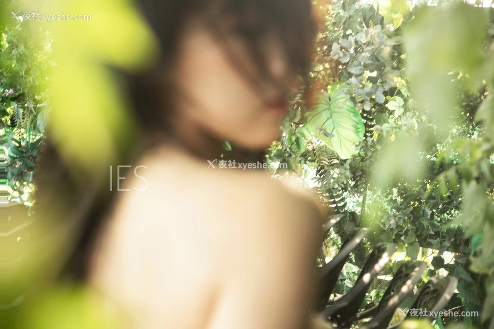 1P - 摄影师 IES 作品集