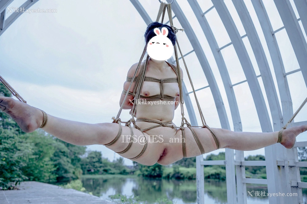 1P - 摄影师 IES 作品集
