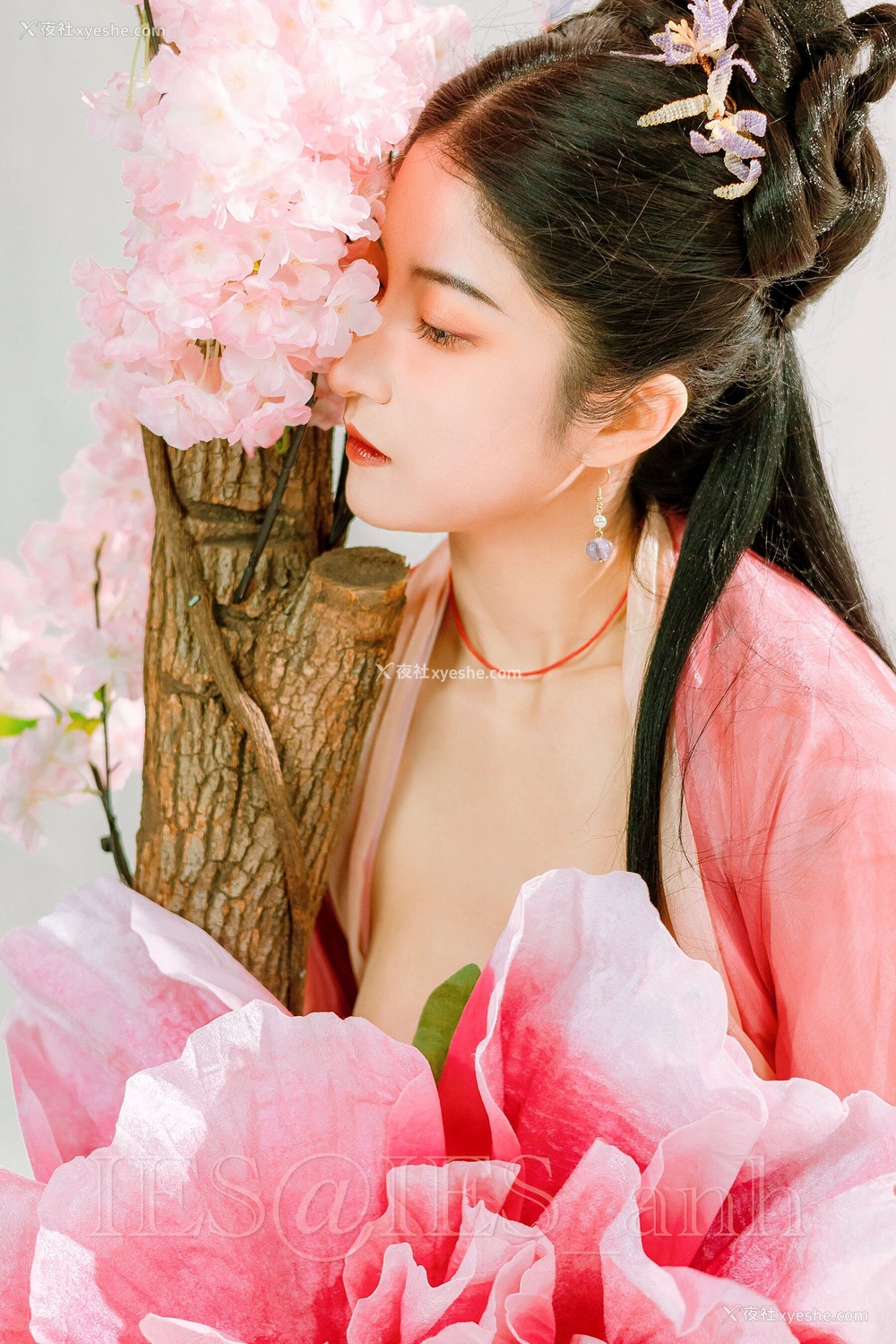 1P - 摄影师 IES 作品集