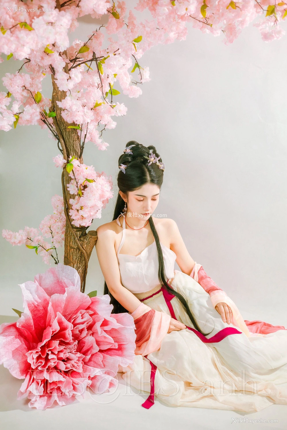 1P - 摄影师 IES 作品集