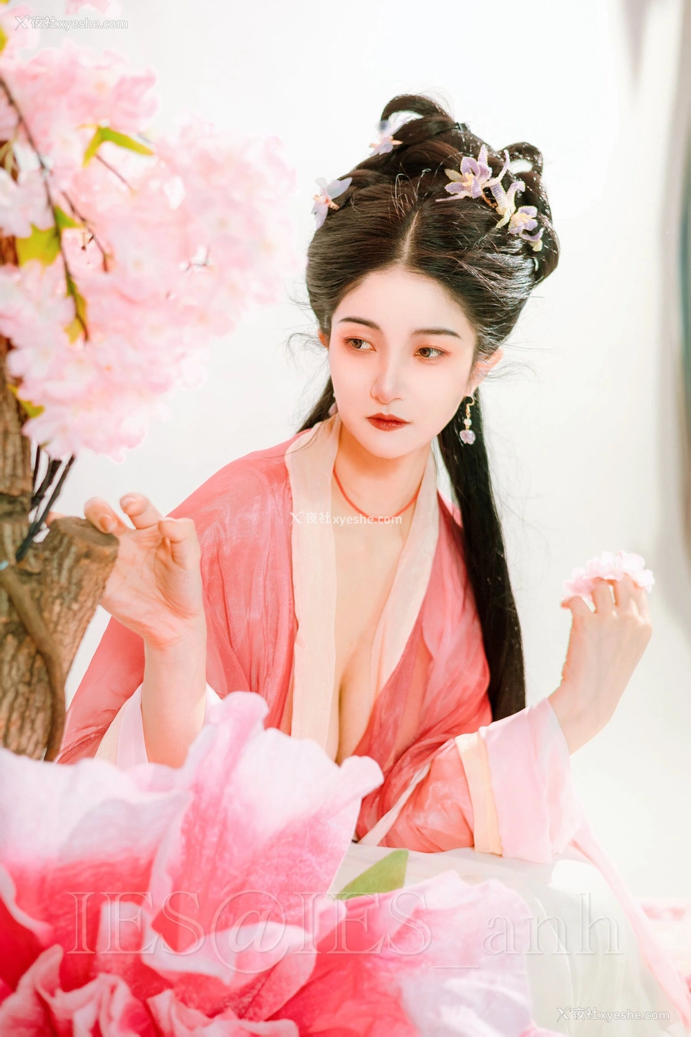 1P - 摄影师 IES 作品集