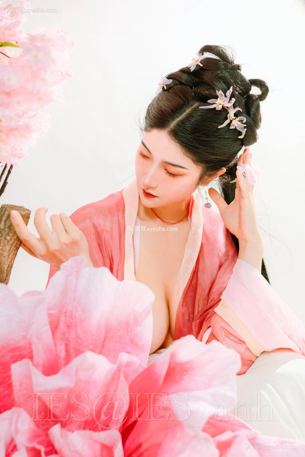 1P - 摄影师 IES 作品集