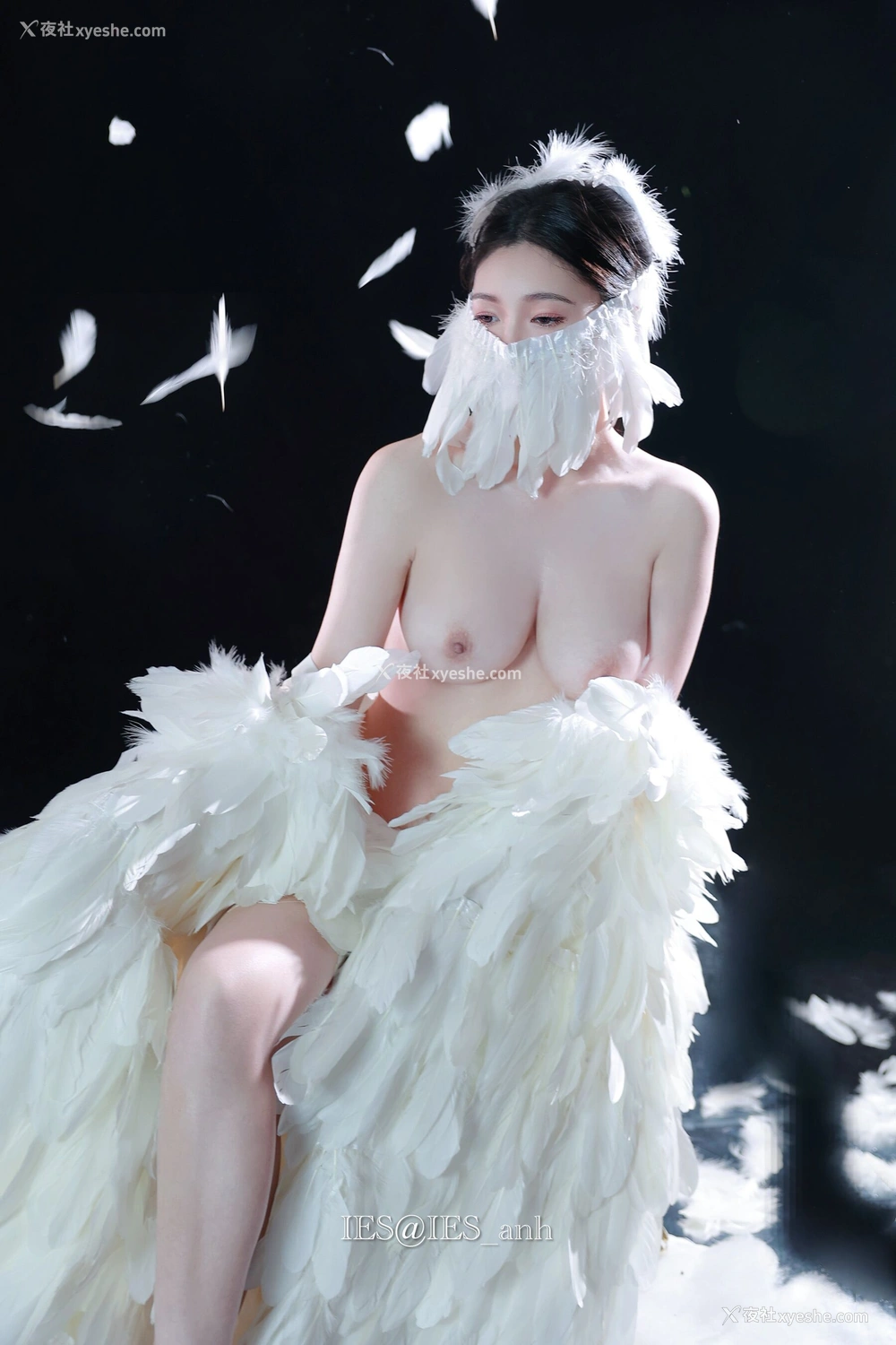 1P - 摄影师 IES 作品集