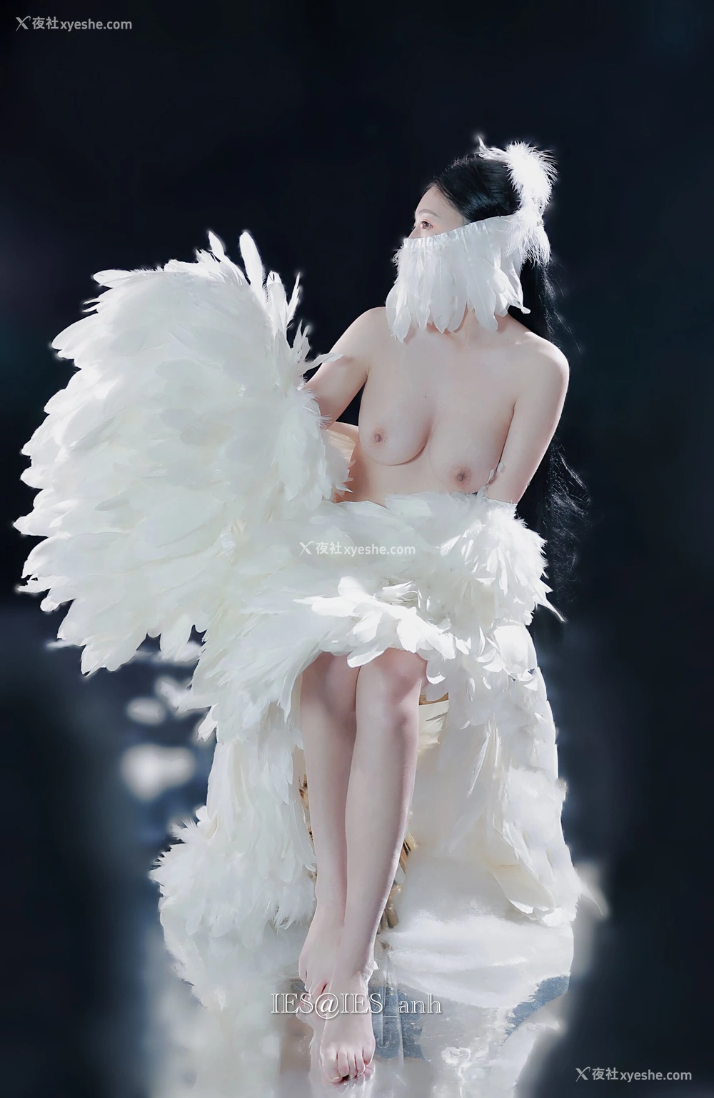 1P - 摄影师 IES 作品集