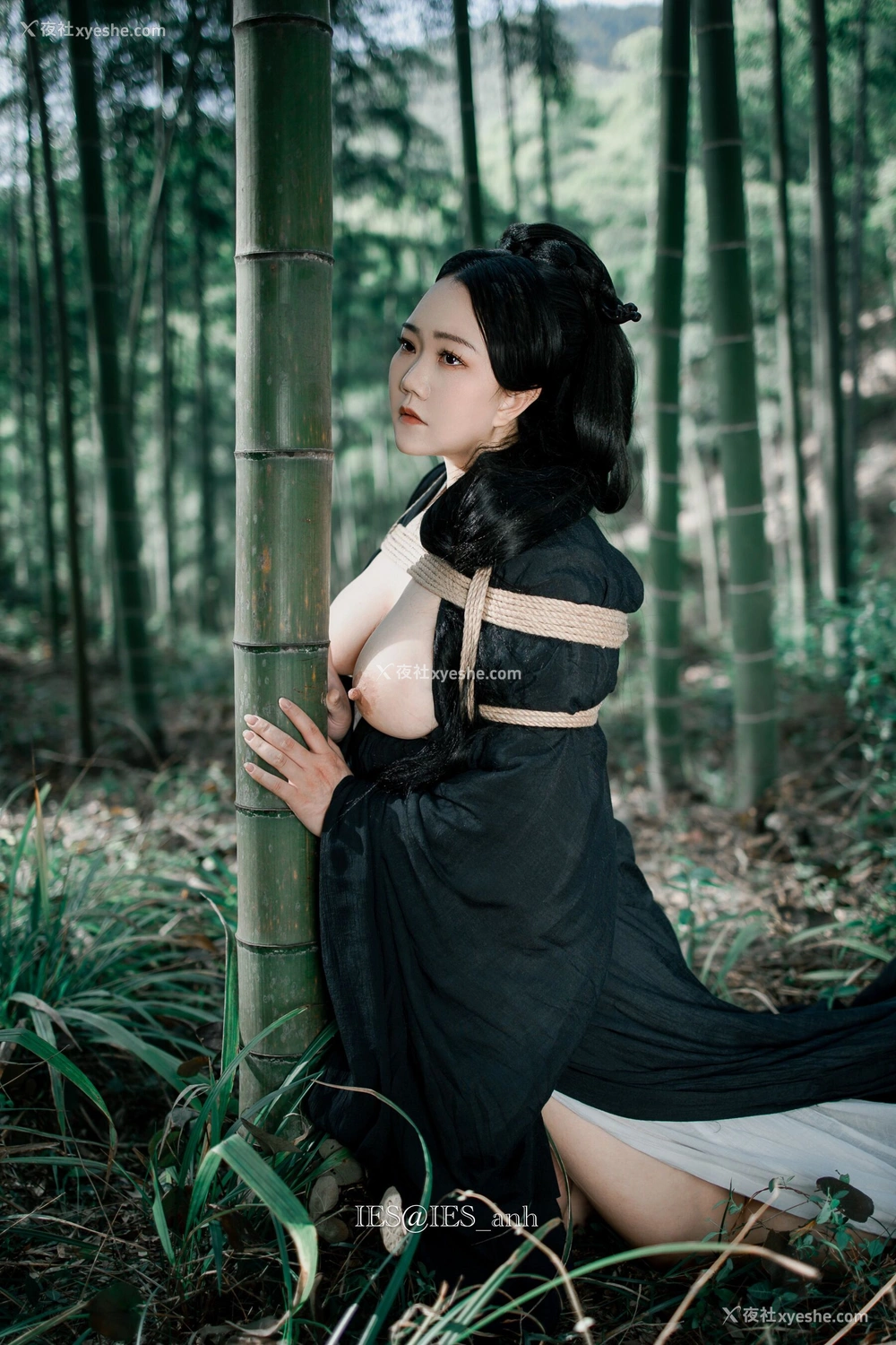 1P - 摄影师 IES 作品集