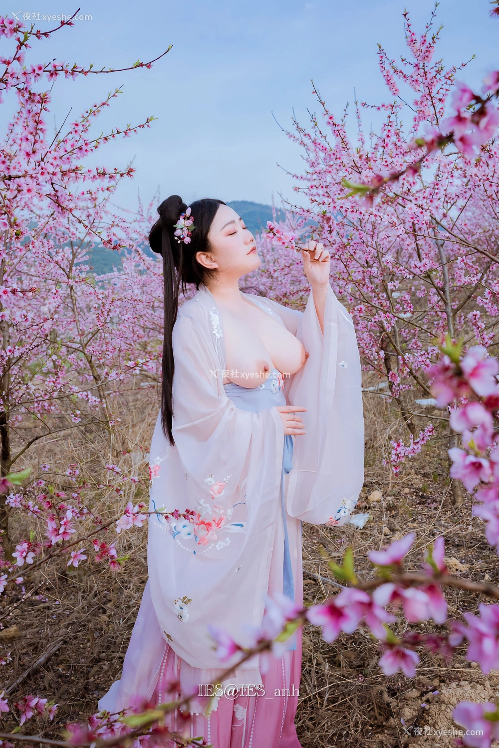 1P - 摄影师 IES 作品集
