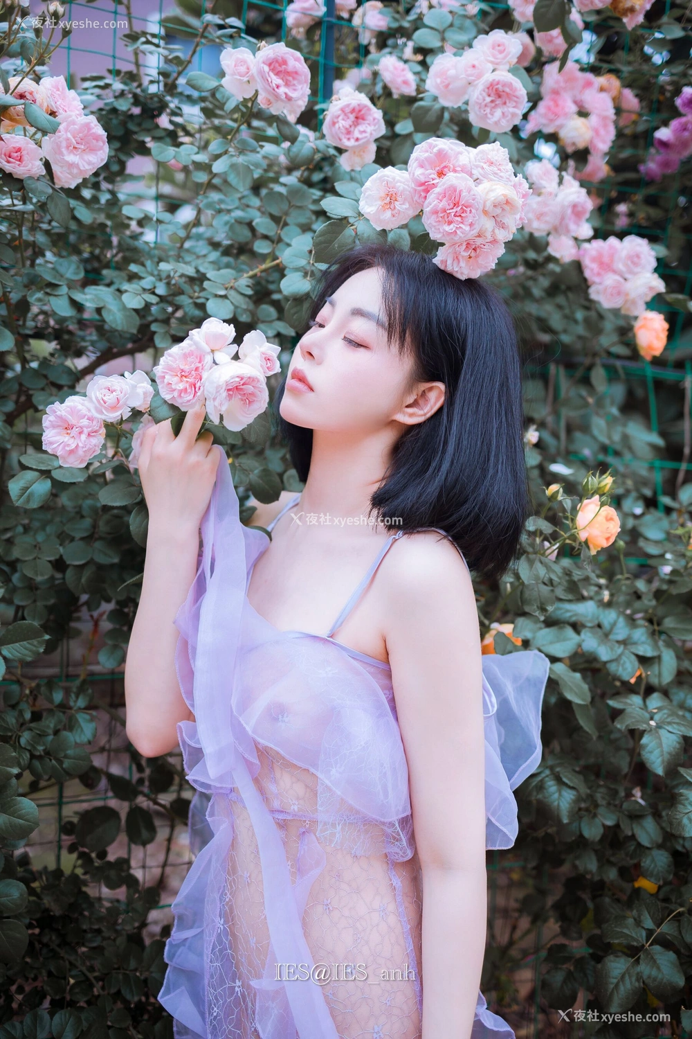 1P - 摄影师 IES 作品集