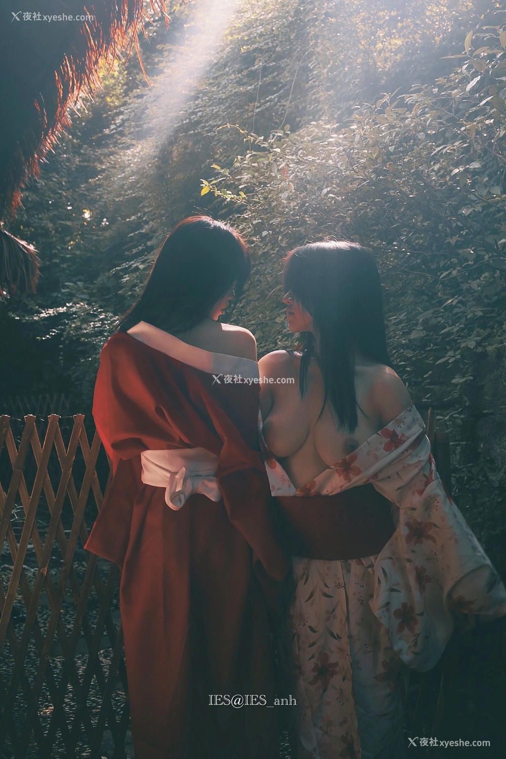 1P - 摄影师 IES 作品集