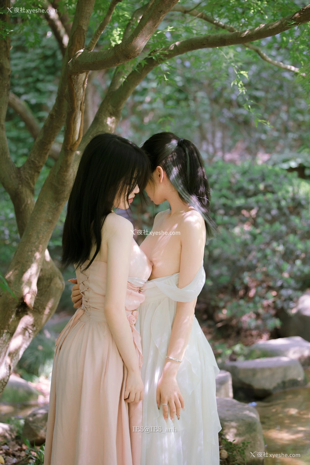 1P - 摄影师 IES 作品集