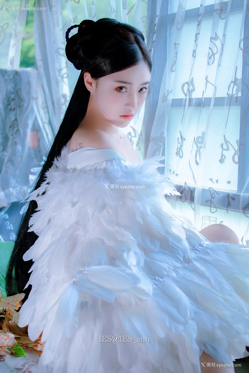 1P - 摄影师 IES 作品集