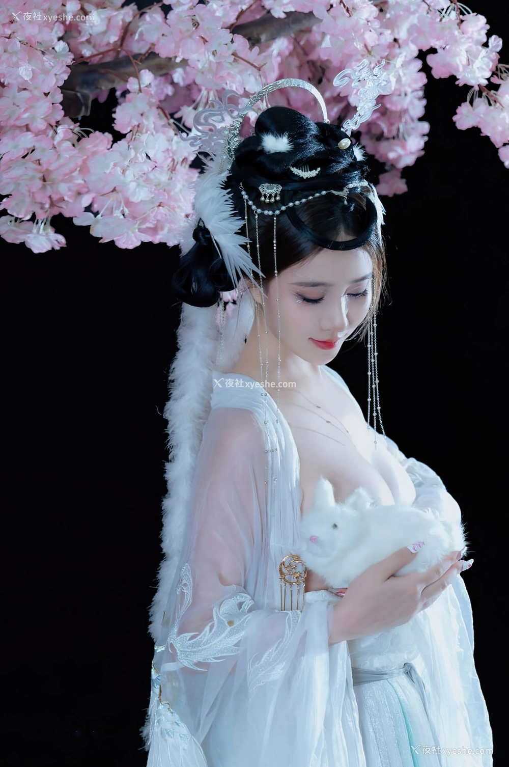 1P - 年年《嫦娥仙子》