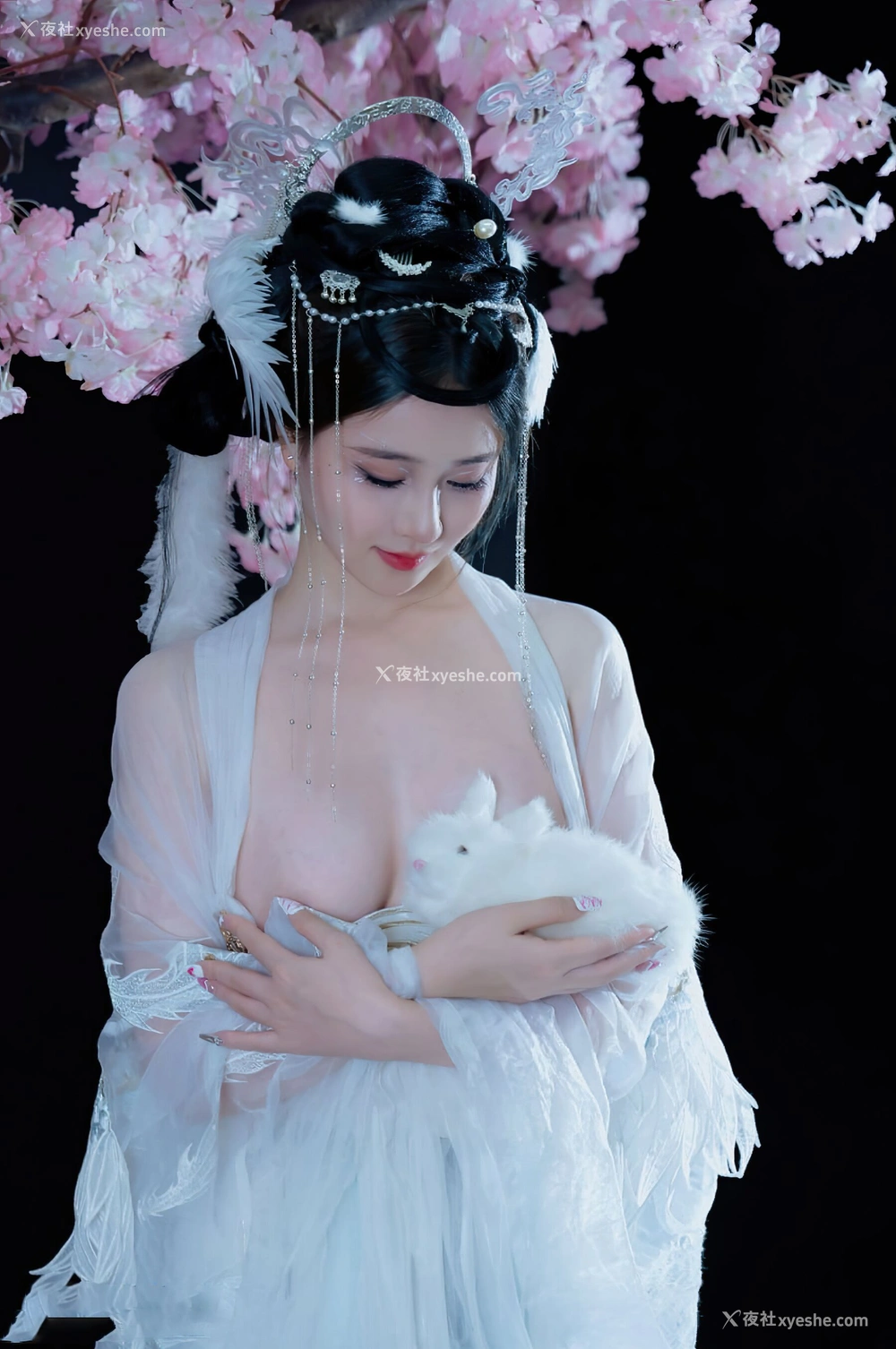 1P - 年年《嫦娥仙子》