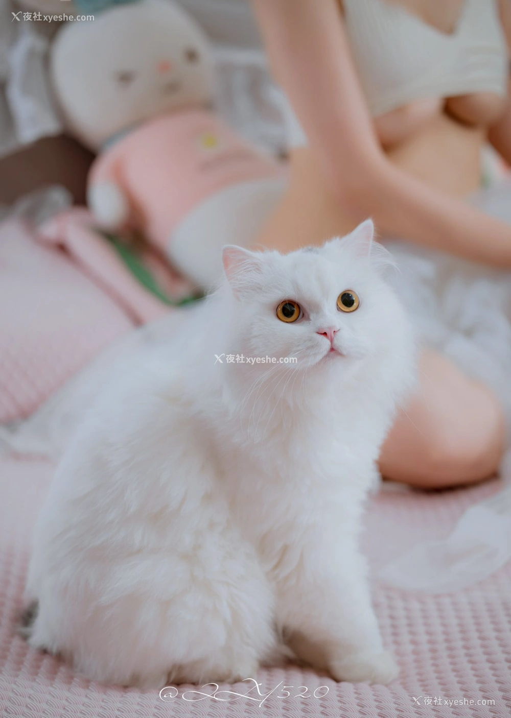 1P - 摄影师稀雅作品集