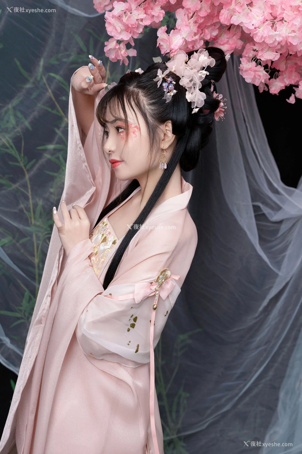 1P - 喵小吉《清平乐》