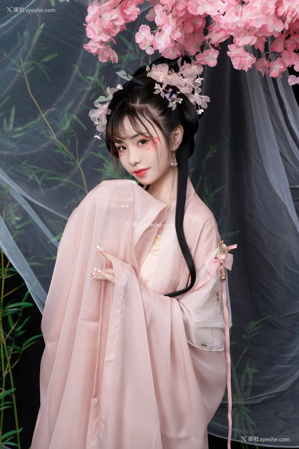 1P - 喵小吉《清平乐》