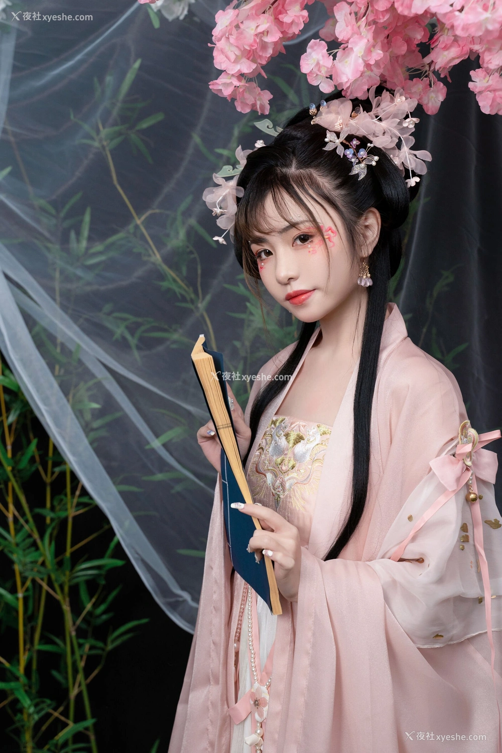 1P - 喵小吉《清平乐》