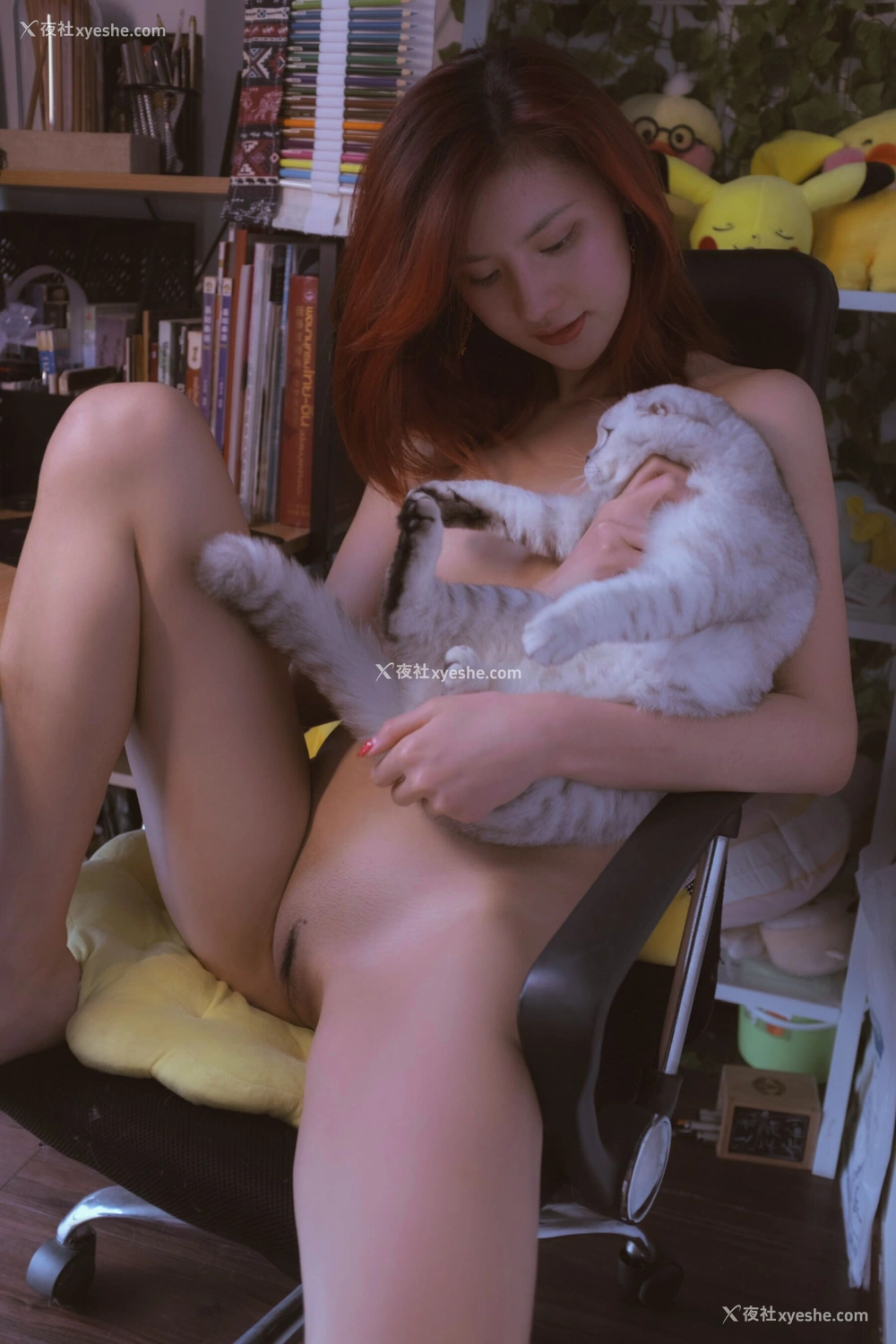 1P - 就是阿朱啊《逗猫棒》