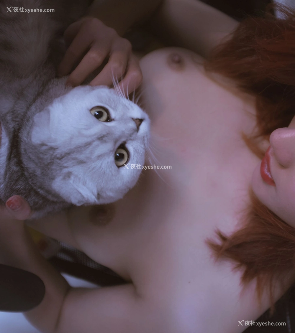 1P - 就是阿朱啊《逗猫棒》