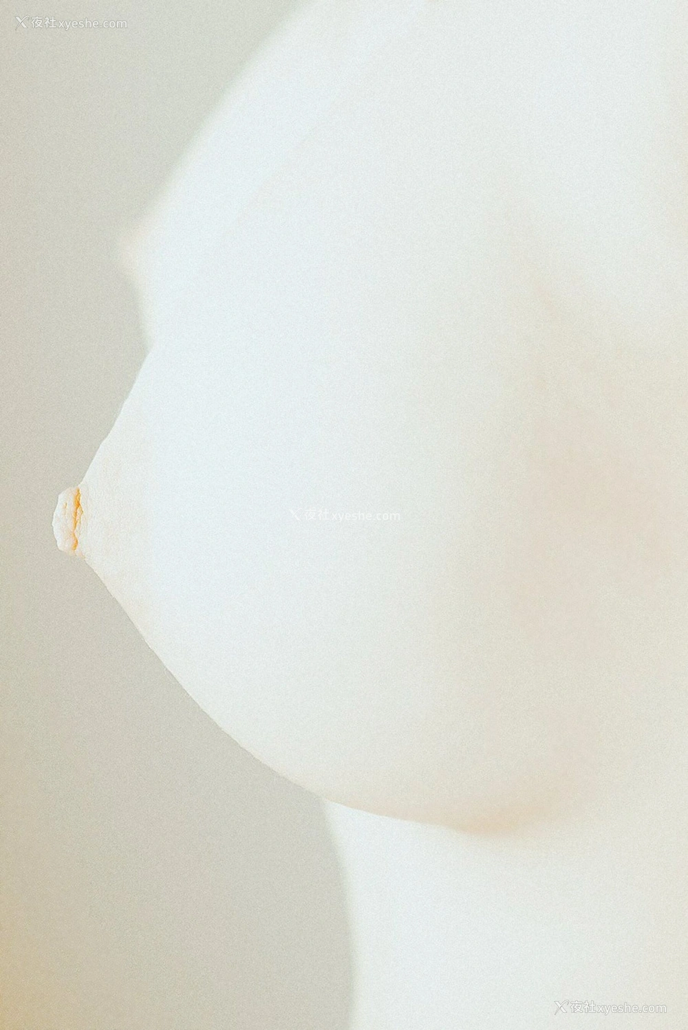 1P - 摄影师无尘作品集