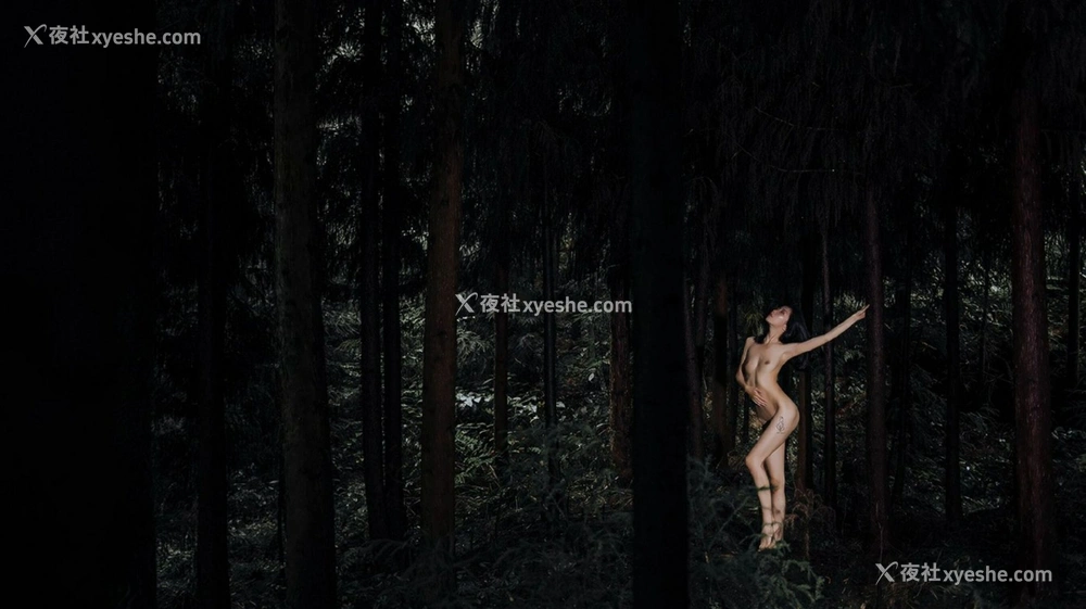 1P - 摄影师无尘作品集