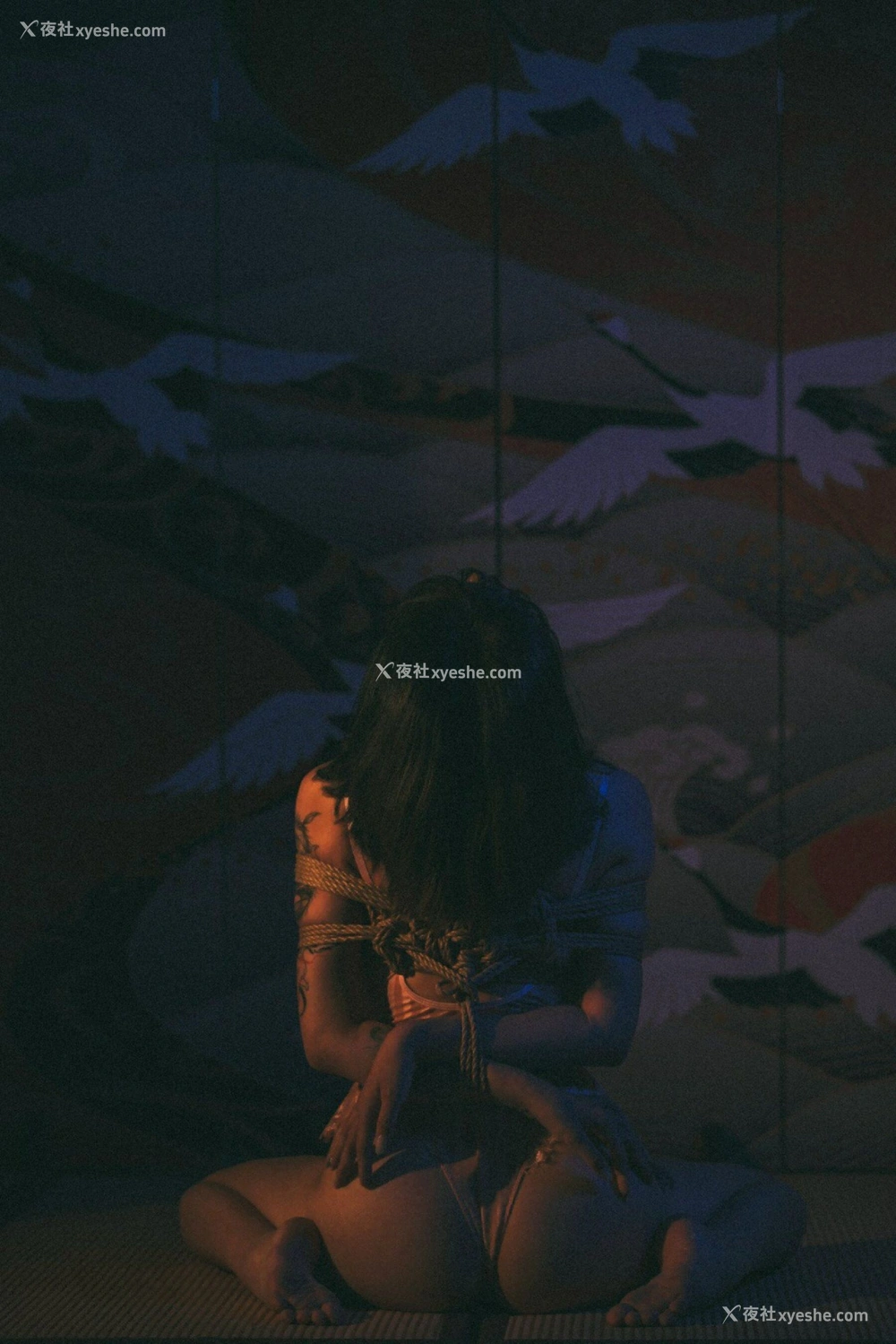 1P - 摄影师无尘作品集