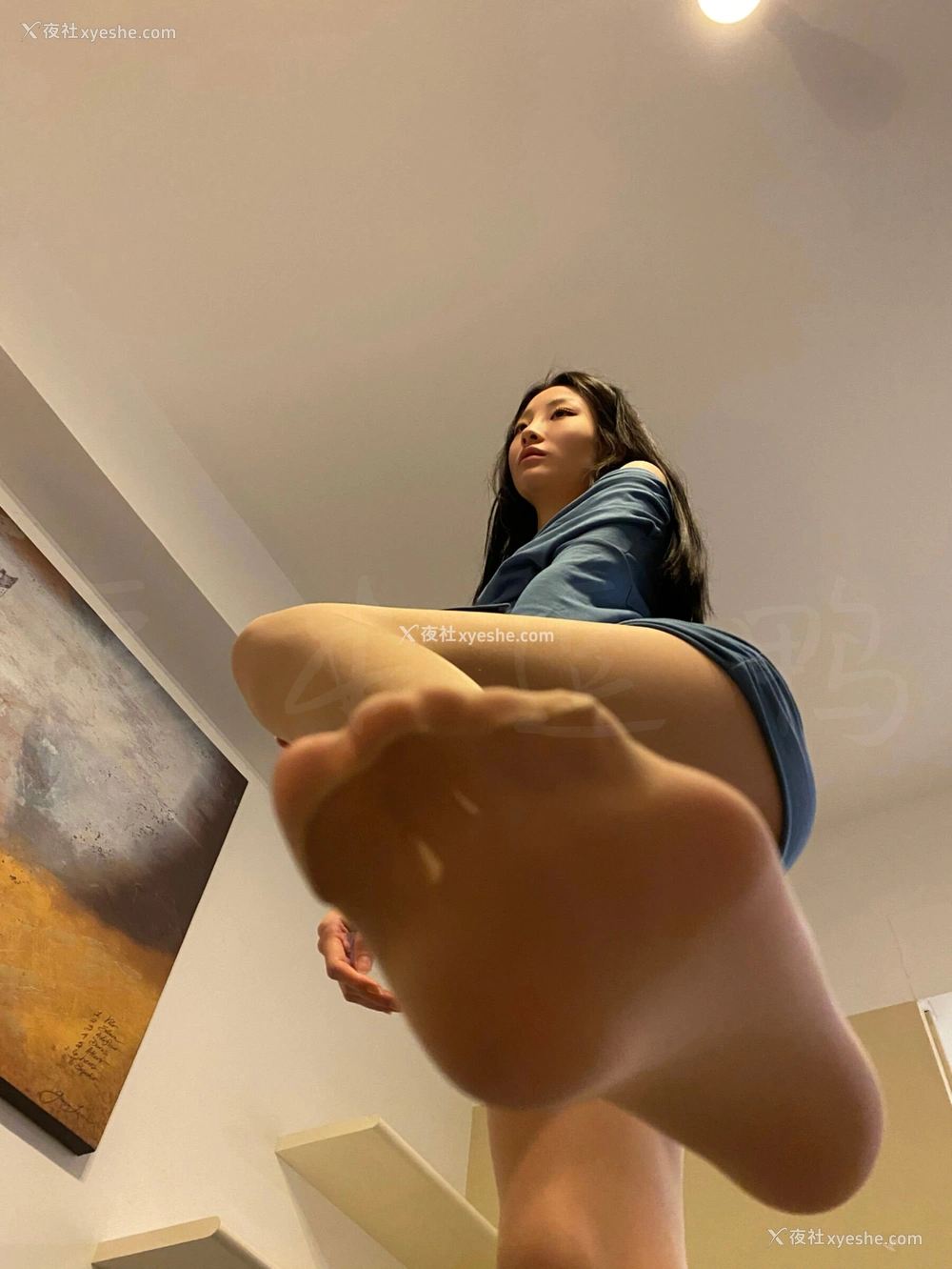 1P - 逗本逗鸭（是小逗逗）网络收集