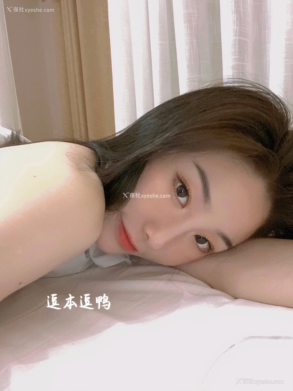 1P - 逗本逗鸭（是小逗逗）网络收集