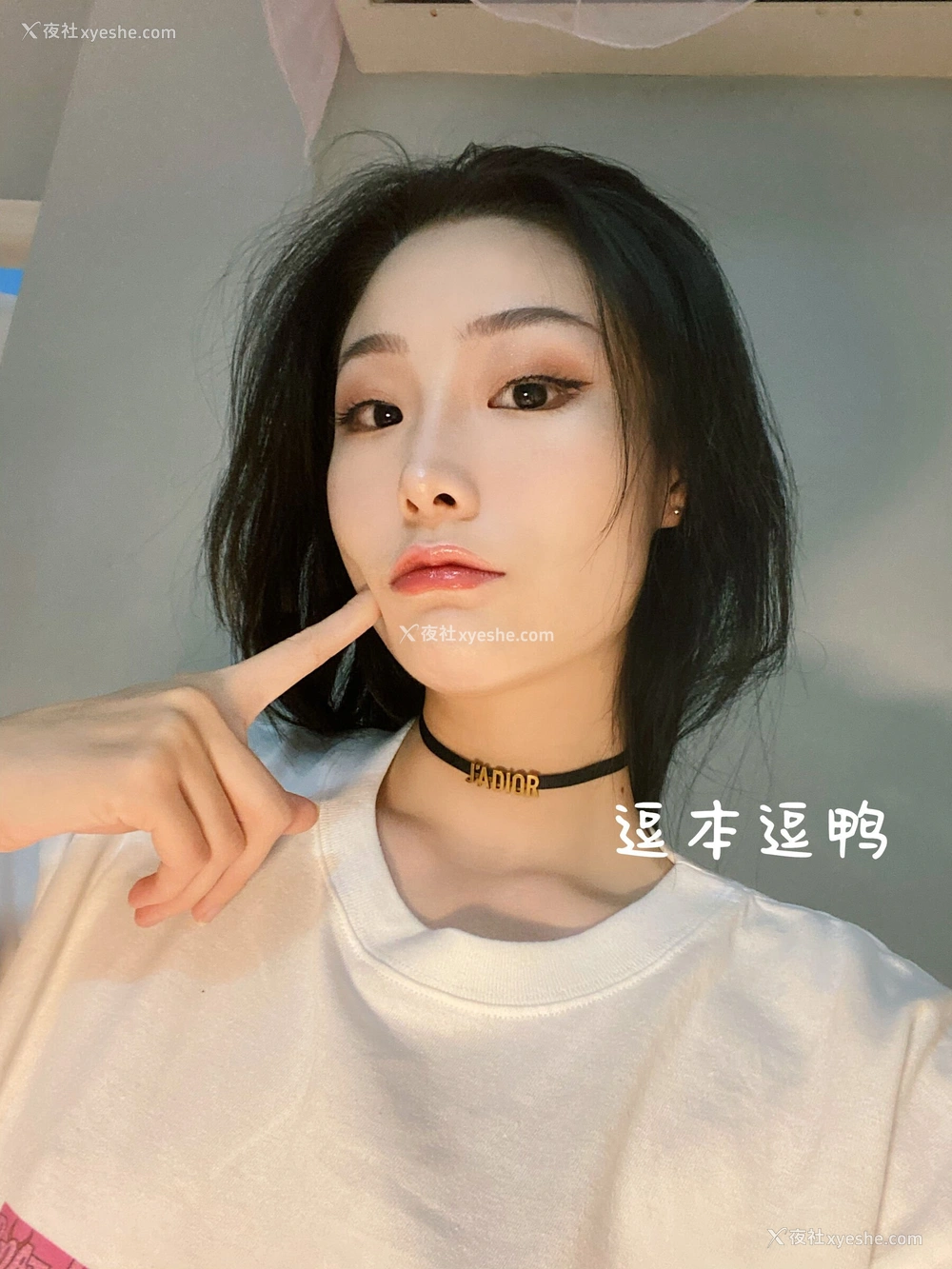 1P - 逗本逗鸭（是小逗逗）网络收集