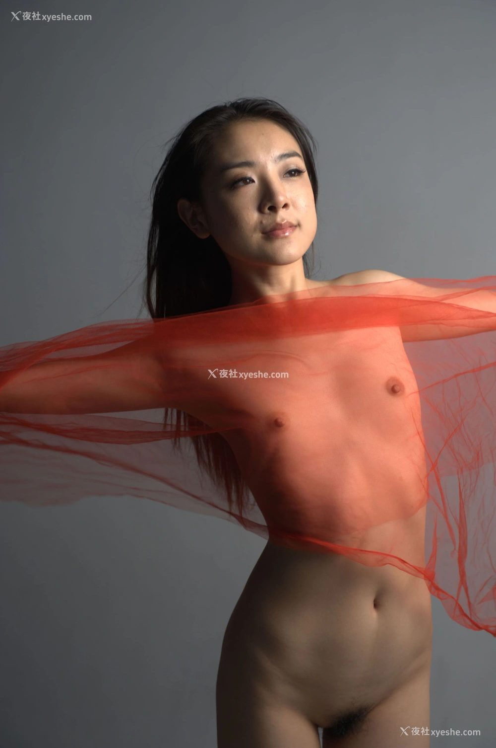 1P - 国模 ANDI（洋洋）人体私拍套图