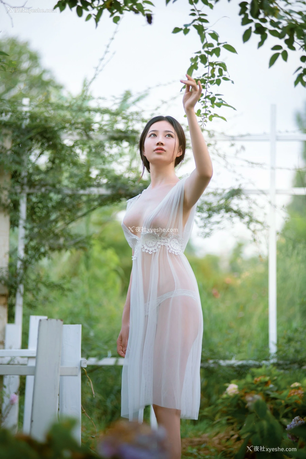1P - 年年《神明之女》