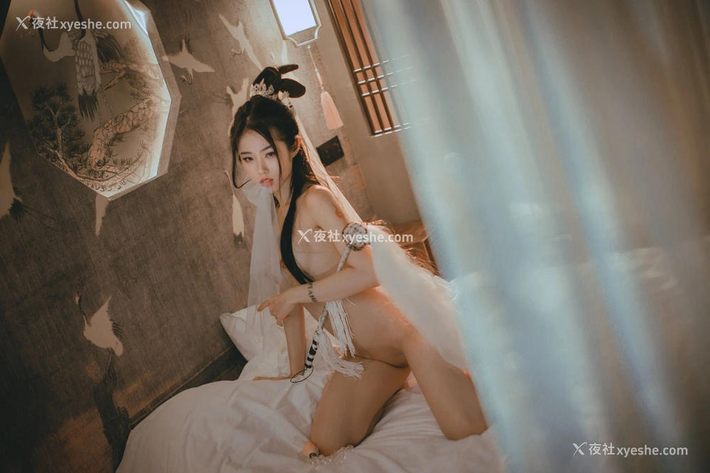 1P - 钛合金TiTi《无生一炁》