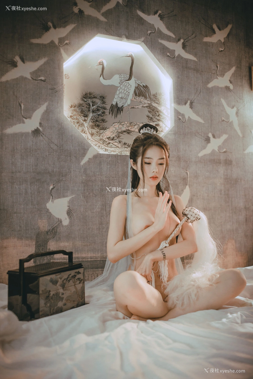 1P - 钛合金TiTi《无生一炁》