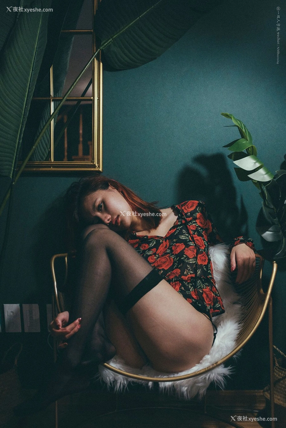 1P - 就是阿朱啊《散图》