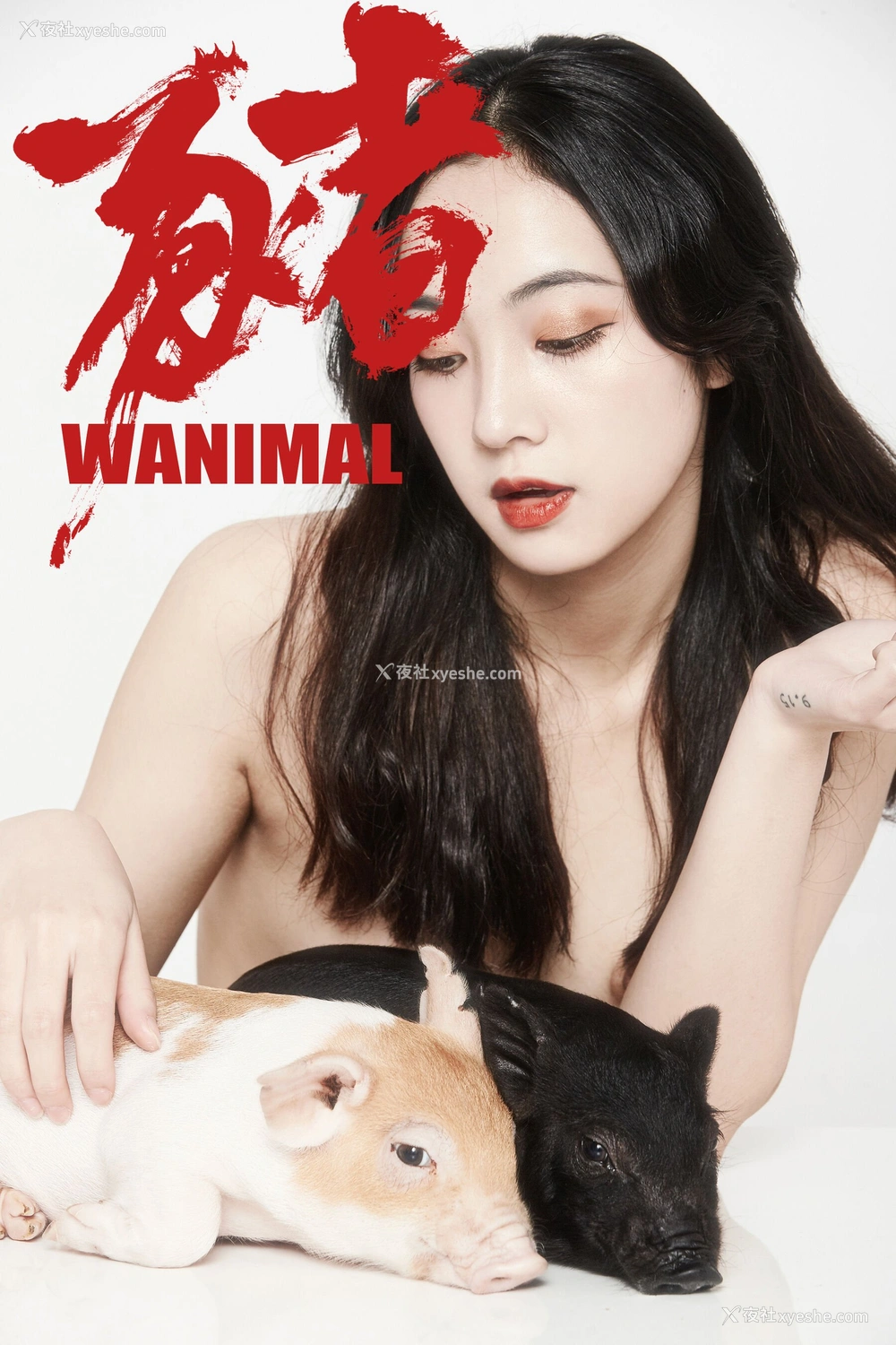 1P - 婕哥《猪年新春特辑》