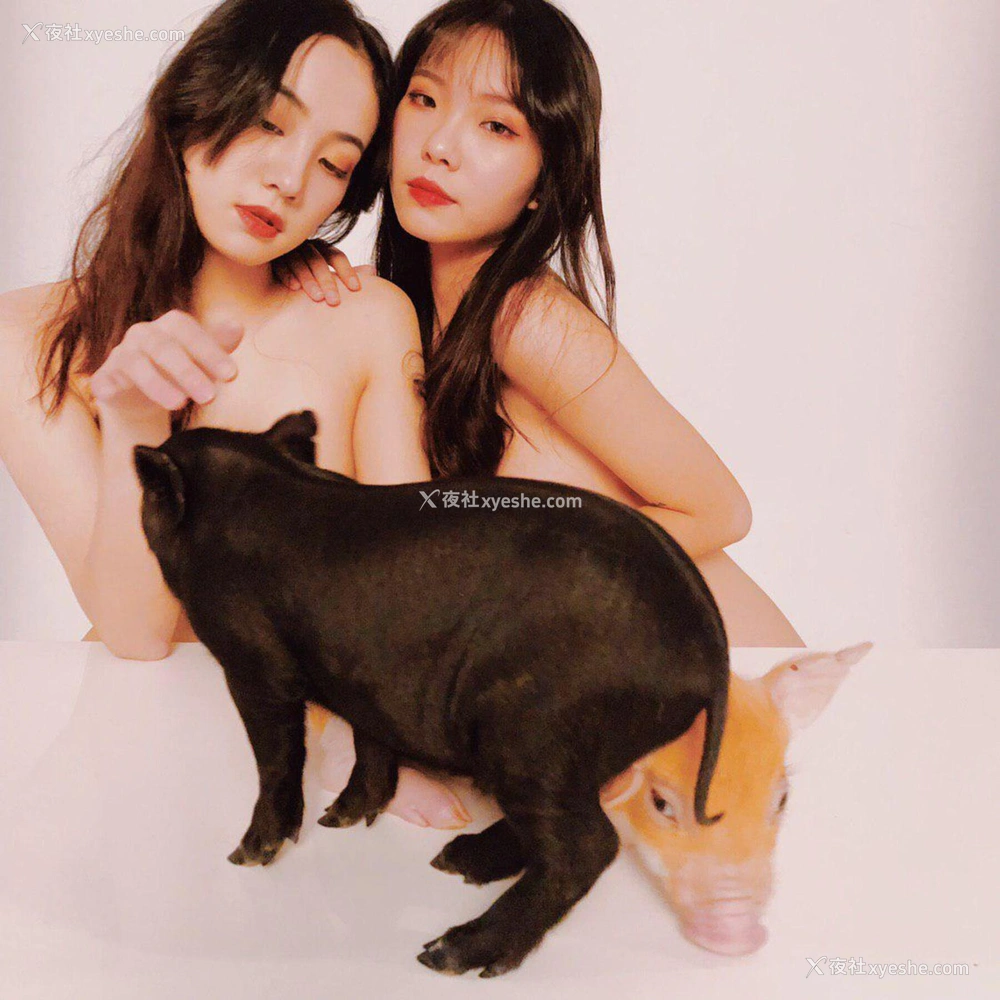 1P - 婕哥《猪年新春特辑》