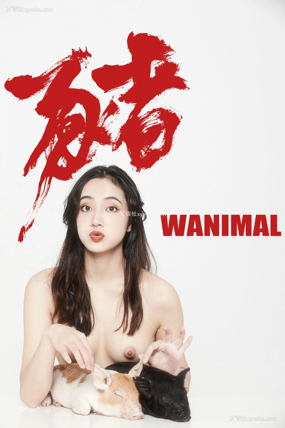 1P - 婕哥《猪年新春特辑》