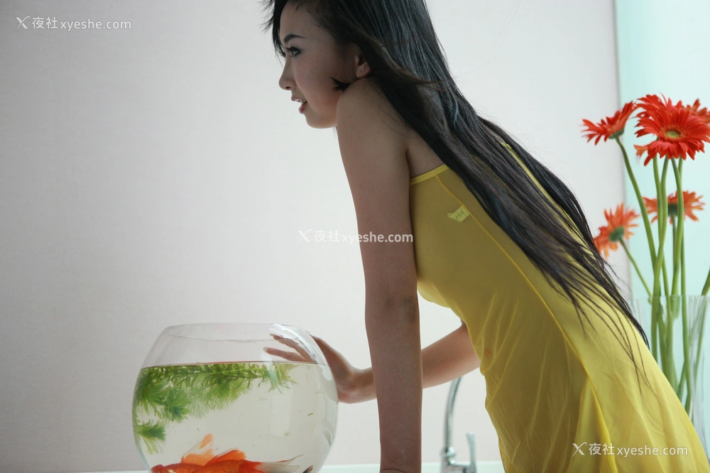 1P - 台模 Mandy 人体私拍套图