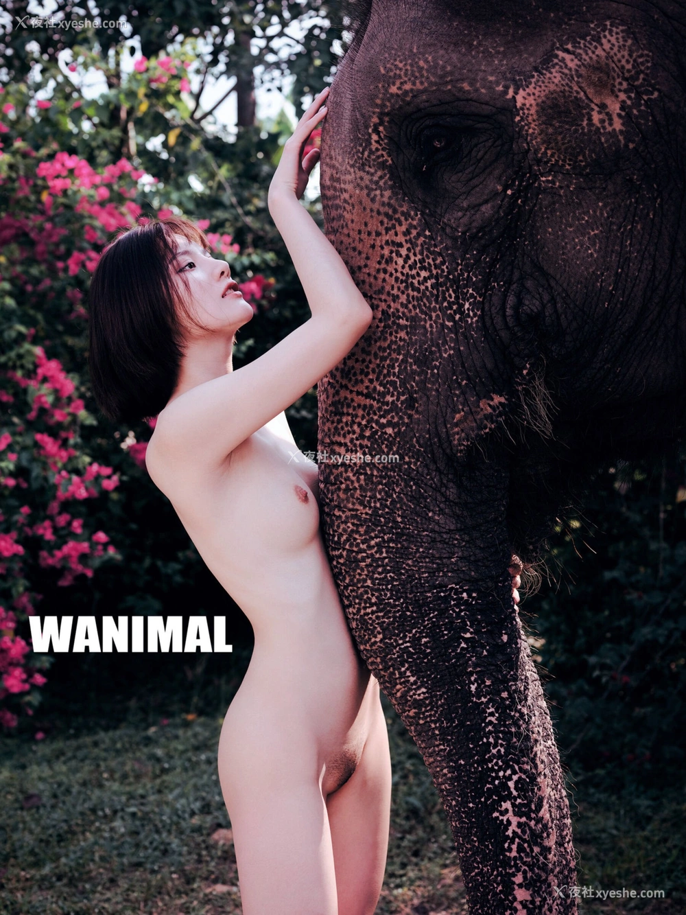 1P - 就是阿朱啊《tumblr 散图》